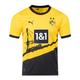 Neues BVB Trikot 23 24