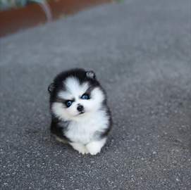 img0