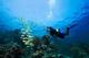 Buceo Sumergete en una aventura inolvidable