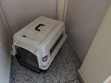 img0